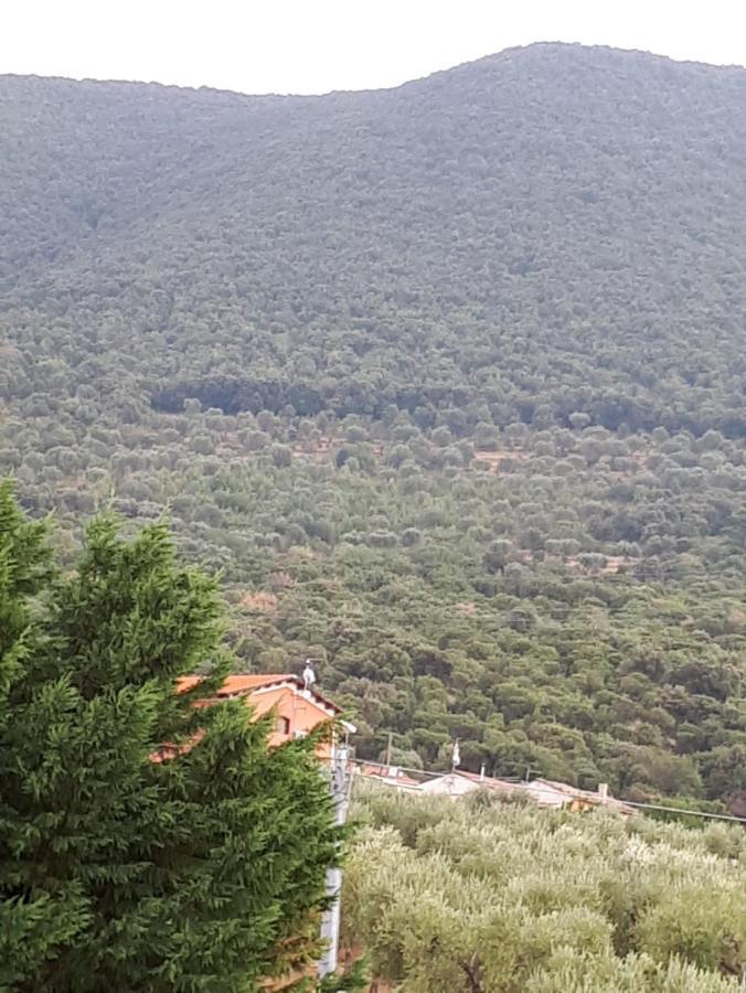 B&B Porta Del Gargano San Marco in Lamis Dış mekan fotoğraf