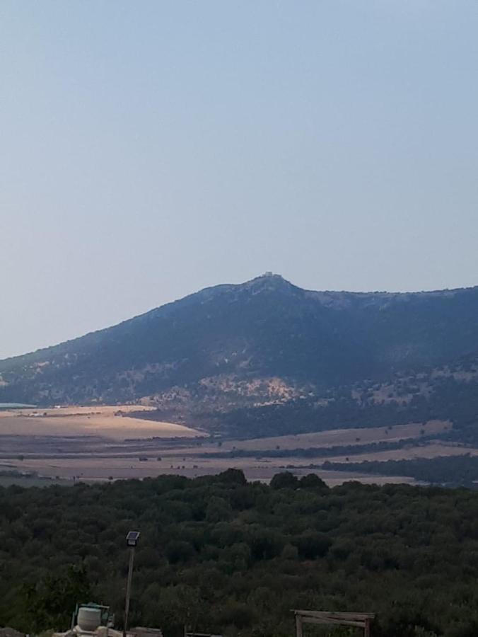 B&B Porta Del Gargano San Marco in Lamis Dış mekan fotoğraf