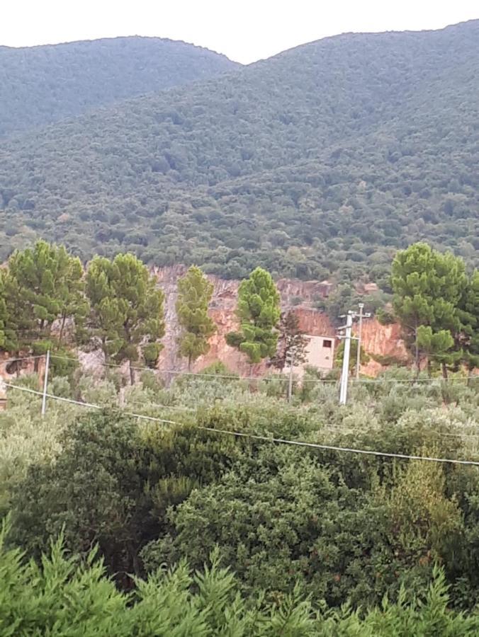 B&B Porta Del Gargano San Marco in Lamis Dış mekan fotoğraf